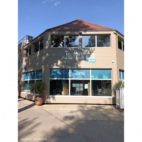 BARDAGE PROTECT SAPIN LINE CENDRE